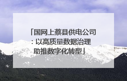 国网上蔡县供电公司：以高质量数据治理 助推数字化转型