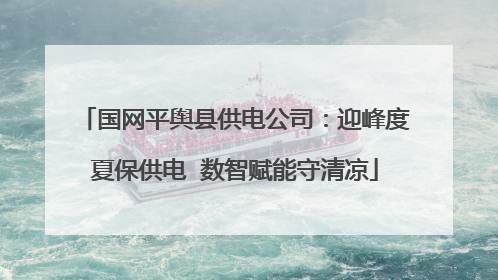 国网平舆县供电公司：迎峰度夏保供电  数智赋能守清凉