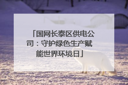 国网长泰区供电公司：守护绿色生产赋能世界环境日