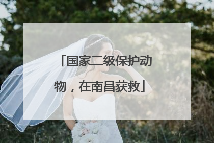 国家二级保护动物，在南昌获救