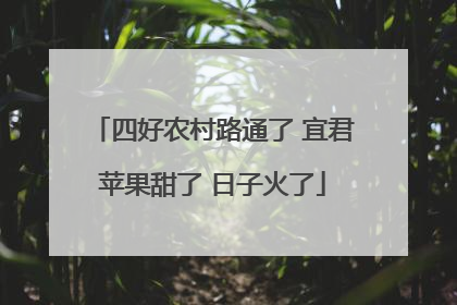 四好农村路通了 宜君苹果甜了 日子火了