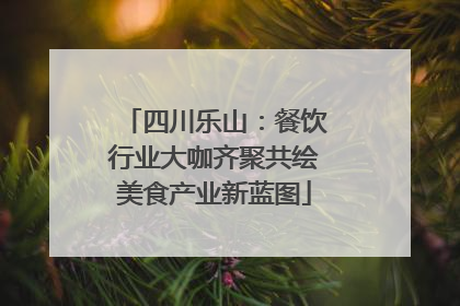四川乐山：餐饮行业大咖齐聚共绘美食产业新蓝图