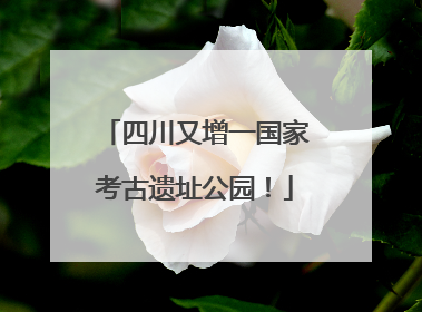 四川又增一国家考古遗址公园！
