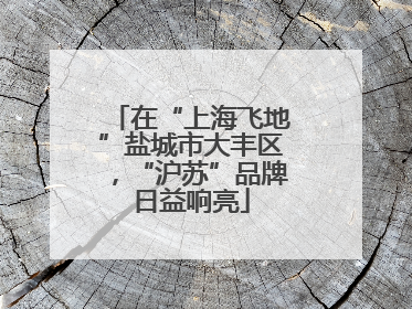 在“上海飞地”盐城市大丰区，“沪苏”品牌日益响亮
