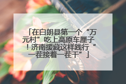 在白朗县第一个“万元村”吃上高原车厘子！济南援藏这样践行“一茬接着一茬干”