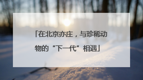 在北京亦庄，与珍稀动物的“下一代”相遇