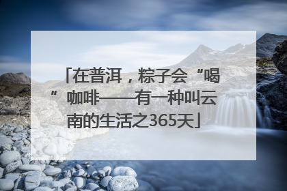 在普洱，粽子会“喝”咖啡——有一种叫云南的生活之365天