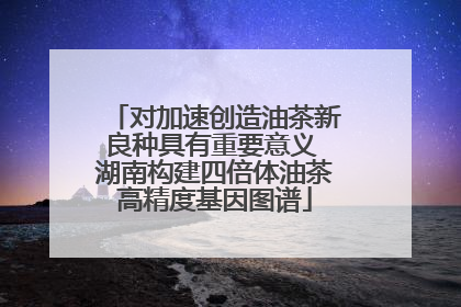 对加速创造油茶新良种具有重要意义 湖南构建四倍体油茶高精度基因图谱