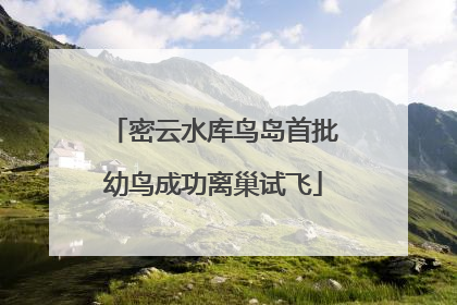 密云水库鸟岛首批幼鸟成功离巢试飞