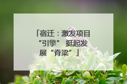 宿迁：激发项目“引擎” 挺起发展“脊梁”