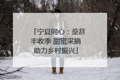 宁夏同心：桑葚丰收季 甜蜜采摘助力乡村振兴