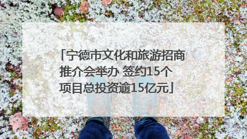 宁德市文化和旅游招商推介会举办 签约15个项目总投资逾15亿元