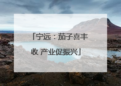 宁远：茄子喜丰收 产业促振兴