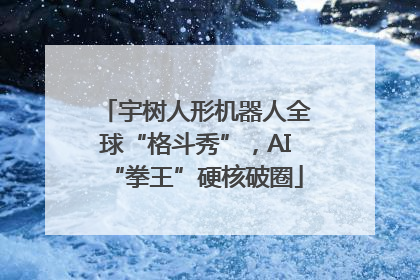 宇树人形机器人全球“格斗秀”，AI“拳王”硬核破圈