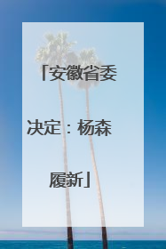 安徽省委决定：杨森履新