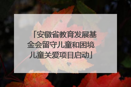 安徽省教育发展基金会留守儿童和困境儿童关爱项目启动