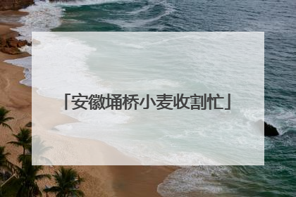 安徽埇桥小麦收割忙