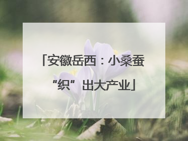 安徽岳西：小桑蚕“织”出大产业