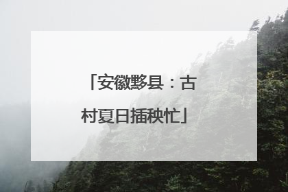 安徽黟县：古村夏日插秧忙