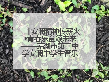 安澜精神传薪火•青春乐章颂未来——芜湖市第二中学安澜中学生管乐团第十二届公益展演圆满举行
