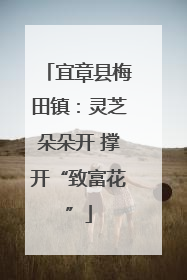 宜章县梅田镇：灵芝朵朵开 撑开“致富花”