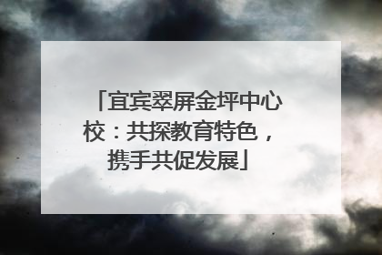 宜宾翠屏金坪中心校：共探教育特色，携手共促发展