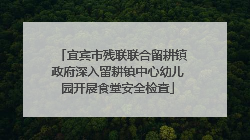 宜宾市残联联合留耕镇政府深入留耕镇中心幼儿园开展食堂安全检查