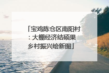 宝鸡陈仓区南阳村：大棚经济结硕果 乡村振兴绘新图