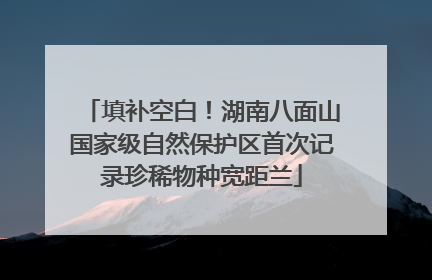 填补空白！湖南八面山国家级自然保护区首次记录珍稀物种宽距兰