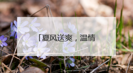 夏风送爽，温情社区：新城街道76岁老党员用蒲扇编织党群连心桥