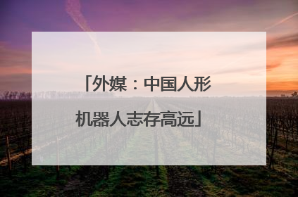 外媒：中国人形机器人志存高远