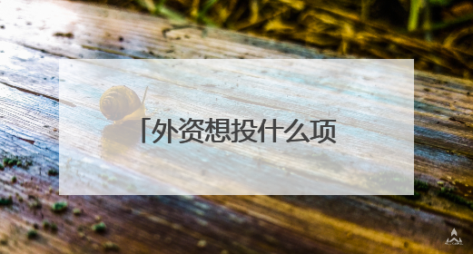 外资想投什么项目？上海浦东邀请供需双方“坐下来掰开了谈”