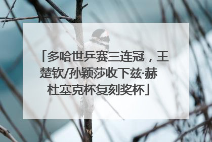 多哈世乒赛三连冠，王楚钦/孙颖莎收下兹·赫杜塞克杯复刻奖杯
