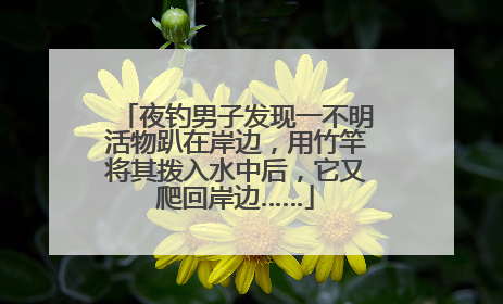 夜钓男子发现一不明活物趴在岸边，用竹竿将其拨入水中后，它又爬回岸边……