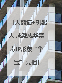 大熊猫+机器人 成都成华禁毒IP形象“华宝”亮相
