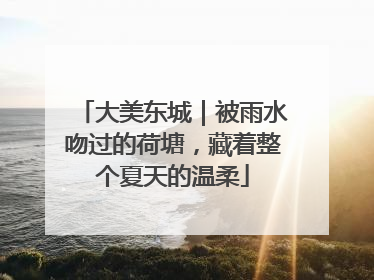 大美东城｜被雨水吻过的荷塘，藏着整个夏天的温柔