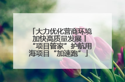 大力优化营商环境 加快高质量发展丨“项目管家”护航用海项目“加速跑”