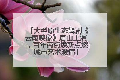 大型原生态舞剧《云南映象》唐山上演，百年商街焕新点燃城市艺术激情