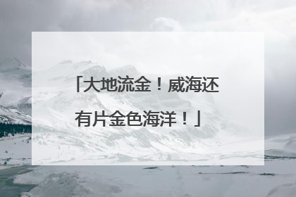 大地流金！威海还有片金色海洋！
