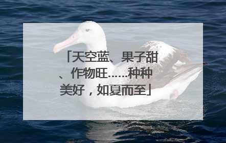天空蓝、果子甜、作物旺……种种美好，如夏而至