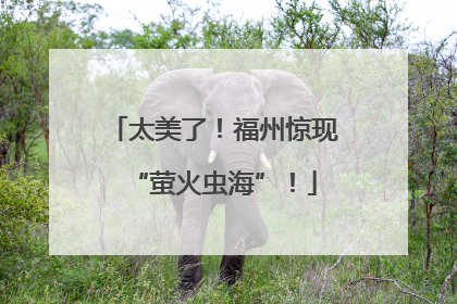 太美了！福州惊现“萤火虫海”！