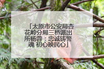 太原市公安局杏花岭分局三桥派出所杨蓉：忠诚铸警魂 初心映民心
