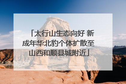 太行山生态向好 新成年华北豹个体扩散至山西和顺县城附近