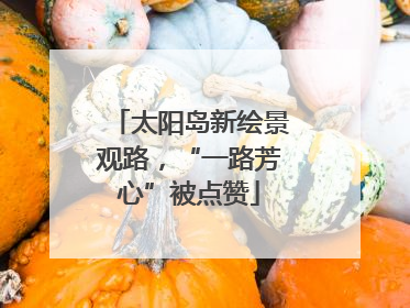 太阳岛新绘景观路，“一路芳心”被点赞