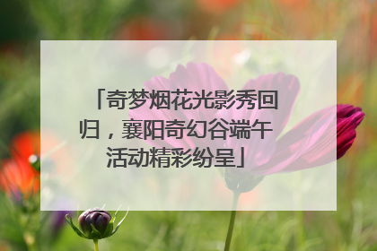 奇梦烟花光影秀回归，襄阳奇幻谷端午活动精彩纷呈