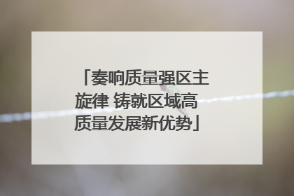 奏响质量强区主旋律 铸就区域高质量发展新优势