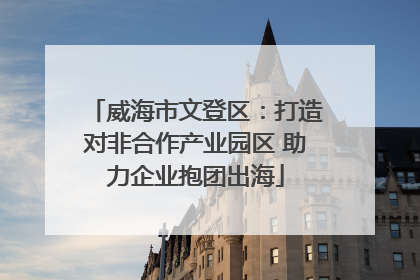 威海市文登区：打造对非合作产业园区 助力企业抱团出海
