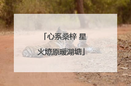 心系桑梓 星火燎原暖湖塘