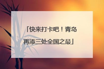 快来打卡吧！青岛再添三处全国之最