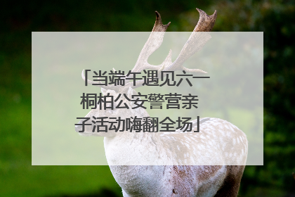 当端午遇见六一 桐柏公安警营亲子活动嗨翻全场